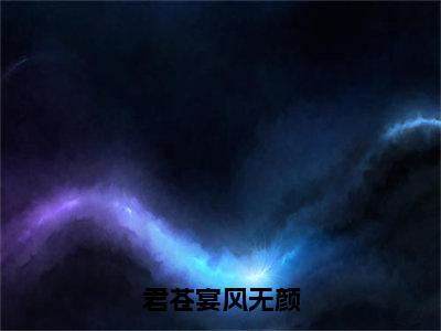 主角是风无颜君苍宴的小说-君苍宴风无颜全文无弹窗免费阅读