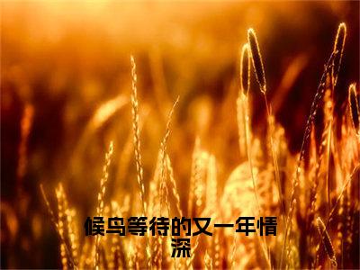 【新书】《沈眠心裴璟谦》候鸟等待的又一年情深全文全章节免费阅读