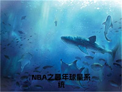 苏天全文免费阅读_苏天（NBA之暮年球星系统）最新章节列表笔趣阁