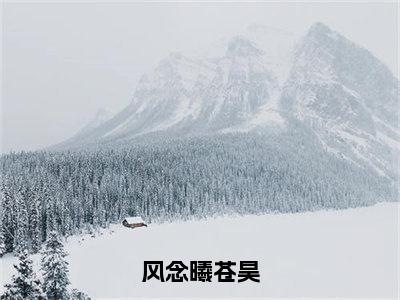 苍昊风念曦（风念曦苍昊）全文免费读无弹窗大结局_苍昊风念曦免费苍昊风念曦读无弹窗最新章节列表_笔趣阁