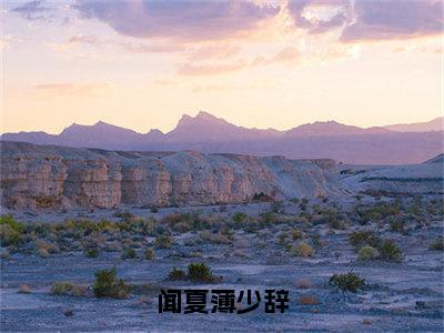 闻夏薄少辞（薄少辞闻夏）小说精彩免费内容_闻夏薄少辞最新章节全文阅读（薄少辞闻夏）