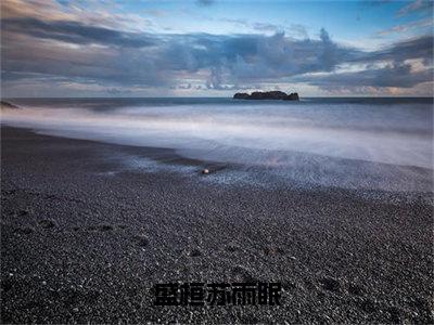 盛桓苏雨眠（苏雨眠盛桓）精选热门小说-小说（盛桓苏雨眠）苏雨眠盛桓全文免费阅读最新章节列表