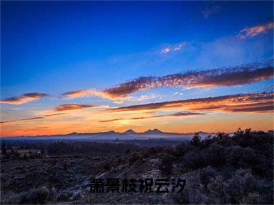 祝云汐萧景枝是哪部小说的主角，萧景枝祝云汐全文在线赏析