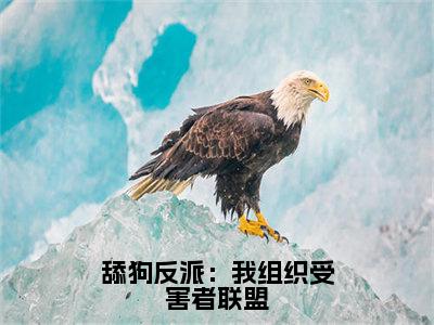 舔狗反派：我组织受害者联盟全本小说无弹窗阅读-舔狗反派：我组织受害者联盟（沈业）精彩热门小说