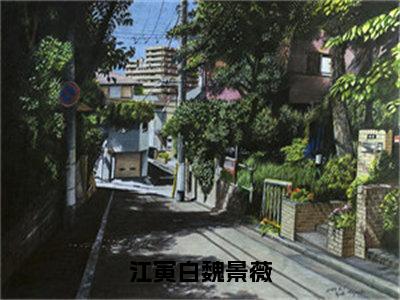 江寅白魏景薇（魏景薇江寅白大结局小说全集完整版）_（魏景薇江寅白小说）江寅白魏景薇全文阅读笔趣阁