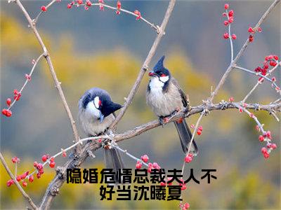 隐婚危情总裁夫人不好当沈曦夏小说（沈曦夏阎墨白）全文免费阅读无弹窗_隐婚危情总裁夫人不好当沈曦夏高赞小说免费阅读笔趣阁（沈曦夏阎墨白）