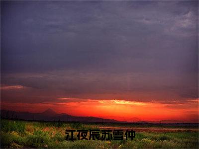 江夜辰苏雪仲（江夜辰苏雪仲）最新免费小说-江夜辰苏雪仲（江夜辰苏雪仲）全文全章节免费阅读