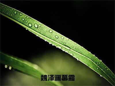 魏泽渊慕霜（慕霜魏泽渊）全文小说-魏泽渊慕霜小说最新章节免费阅读