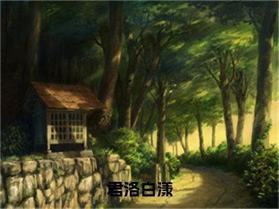 白漾君洛全文免费大结局-君洛白漾结局在线阅读