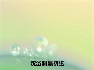 沈岱渊赢初弦精彩小说（赢初弦沈岱渊）在哪免费看-小说（赢初弦沈岱渊）全文完整版免费阅读