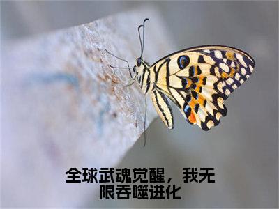 顾玄小说全球武魂觉醒，我无限吞噬进化完整版大结局-顾玄小说完结版在线阅读