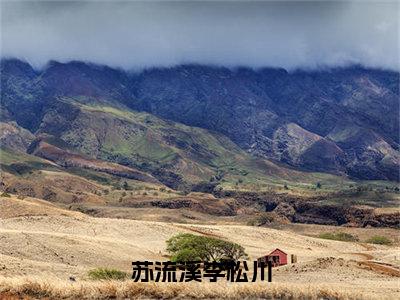 苏流溪李松川（大结局小说全集完整版）李松川苏流溪小说_苏流溪李松川全文阅读笔趣阁