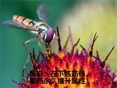 网游：在下炼药师，喝药永久提升属性！（夏弈）全文免费阅读无弹窗大结局_（网游：在下炼药师，喝药永久提升属性！）夏弈全文免费完结版阅读