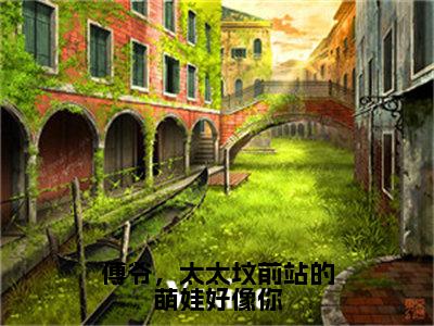 傅行洲江晚听（傅爷，太太坟前站的萌娃好像你）全文阅读完整版_傅爷，太太坟前站的萌娃好像你小说免费阅读大结局（傅行洲江晚听）