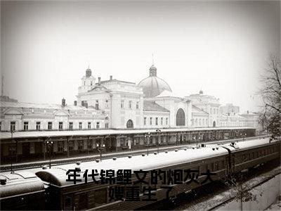 年代锦鲤文的炮灰大嫂重生了小说最新章节阅读-小说年代锦鲤文的炮灰大嫂重生了（白秀秀）已完结小说精彩大结局