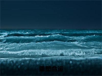 何雨盛（重塑命运）全文在线免费阅读无弹窗_何雨盛最新章节列表_笔趣阁