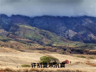 许初夏宋沉宴全本小说无弹窗阅读-许初夏宋沉宴（宋沉宴许初夏）精彩热门小说