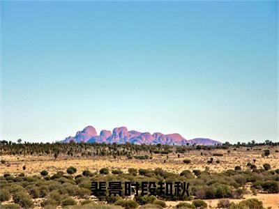 裴景时段知秋小说（段知秋裴景时）全文免费阅读_裴景时段知秋小说段知秋裴景时小说最新章节列表笔趣阁