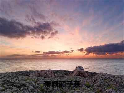 秦阙颜子茉全网热搜（颜子茉秦阙）是什么小说，秦阙颜子茉免费阅读无弹窗