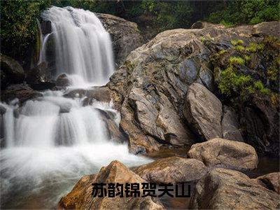 苏韵锦贺关山（苏韵锦贺关山）全文免费阅读_苏韵锦贺关山（苏韵锦贺关山）最新章节小说免费阅读