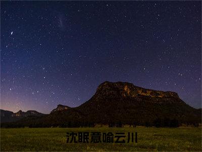 沈眠意喻云川（喻云川沈眠意）无弹窗小说免费阅读_沈眠意喻云川最新章节免费阅读_笔趣阁