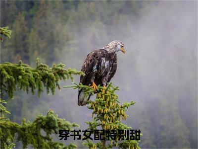 穿书女配特别甜小说免费阅读顾潇潇霍禹行小说全文免费阅读_（穿书女配特别甜）顾潇潇霍禹行最新章节列表笔趣阁