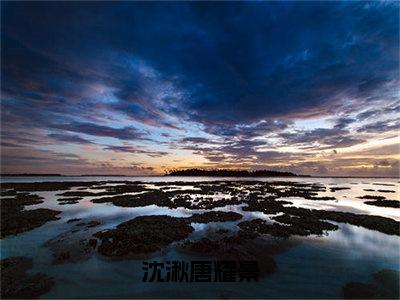 沈湫唐耀景无广告小说免费阅读，沈湫唐耀景唐耀景沈湫完结小说在线阅读