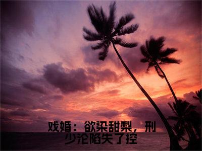 夏小梨刑赫野免费阅读（戏婚：欲染甜梨，刑少沦陷失了控）全文免费阅读无弹窗大结局_夏小梨刑赫野免费阅读最新章节列表