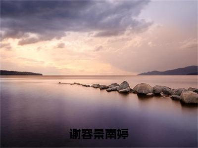 谢容景南婷全文免费阅读大结局_谢容景南婷已完结全集谢容景南婷大结局小说