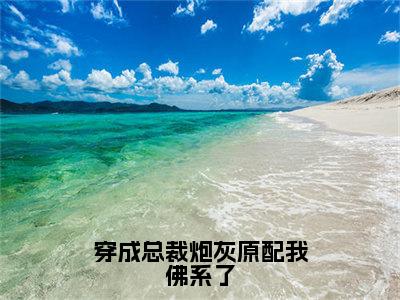 穿成总裁炮灰原配我佛系了最新章节（秦若瑶墨峻林）全文免费阅读无弹窗大结局_秦若瑶墨峻林免费阅读