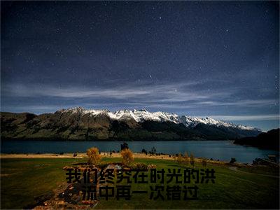 我们终究在时光的洪流中再一次错过精彩小说赏析全文苏向晚江崇年热门小说免费阅读