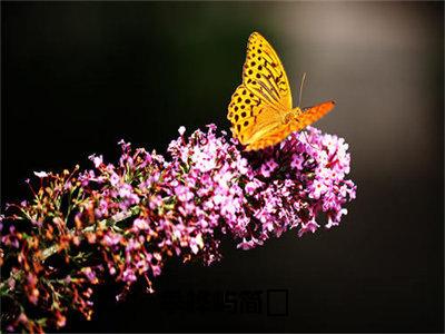 季桦屿简玥简玥季桦屿精彩章节-季桦屿简玥简玥季桦屿完整版阅读