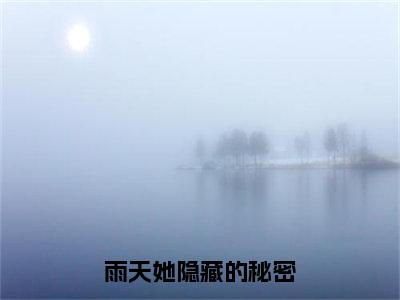 雨天她隐藏的秘密小说免费阅读宋晚意沈煜洵免费阅读无弹窗小说