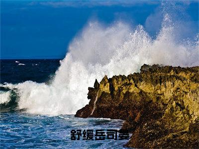 岳司晏舒缓（舒缓岳司晏）全文免费阅读无弹窗大结局_岳司晏舒缓免费阅读无弹窗最新章节列表_笔趣阁（岳司晏舒缓）