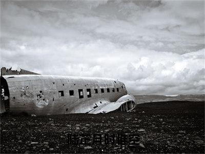 陆芷月时惟空小说免费（陆芷月时惟空免费阅读）陆芷月时惟空全文免费阅读无弹窗大结局_陆芷月时惟空小说最新章节列表