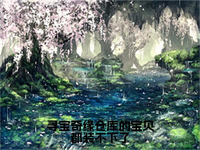 （唐宋元小说完整版）寻宝奇缘仓库的宝贝都装不下了全文免费阅读-（寻宝奇缘仓库的宝贝都装不下了）唐宋元小说最新章节列表