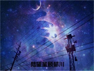 陆望星顾郁川（陆望星顾郁川）全文免费阅读无弹窗大结局_陆望星顾郁川免费最新章节列表_笔趣阁（陆望星顾郁川）