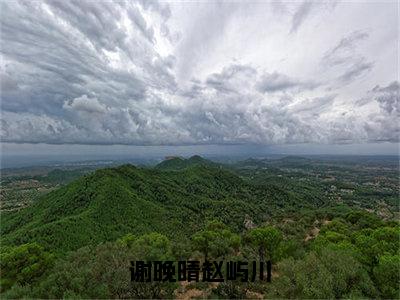 赵屿川谢晚晴（谢晚晴赵屿川）全文小说免费阅读-赵屿川谢晚晴最新章节列表_笔趣阁