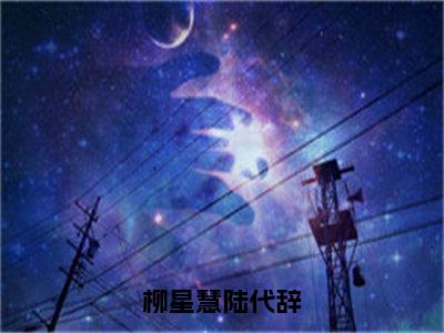 陆代辞柳星慧全文（柳星慧陆代辞）完整版小说阅读_柳星慧陆代辞全本列表免费笔趣阁（陆代辞柳星慧）