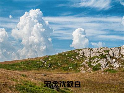 宋念沈叙白沈叙白宋念精彩章节在线阅读-沈叙白宋念美文欣赏