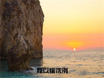 程以绾沈冽「精彩小说」无弹窗阅读沈冽程以绾大结局阅读