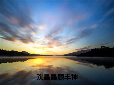 顾丰神沈晶晶（沈晶晶顾丰神）全文免费阅读无弹窗大结局_顾丰神沈晶晶小说全文大结局