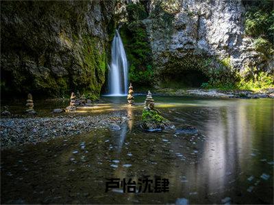 沈肆卢怡高赞小说（卢怡沈肆）完结阅读_卢怡沈肆免费看全文