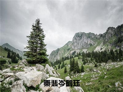 鹤珏秦翡岑（鹤珏秦翡岑）全文免费阅读无弹窗大结局_秦翡岑鹤珏小说最新章节列表_笔趣阁