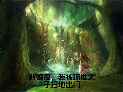 精选热门新婚夜，我被疯批太子扫地出门全文无删减版在线阅读