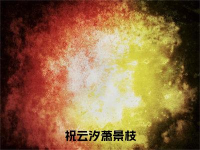 祝云汐萧景枝（祝云汐萧景枝）完整版小说阅读_祝云汐萧景枝全文免费阅读最新章节列表_笔趣阁