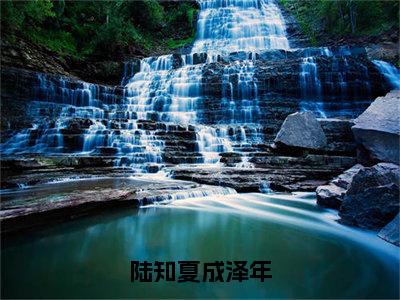 陆知夏成泽年全文免费大结局陆知夏成泽年小说在线阅读