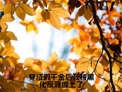 陆北舒姝（穿成假千金后我被黑化反派缠上了）全文免费阅读无弹窗大结局_（陆北舒姝小说全文免费阅读）最新章节列表