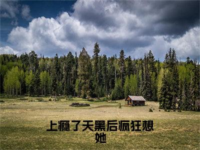 【新书】《上瘾了天黑后疯狂想她》全文免费阅读无弹窗大结局-白理顾锐彦全章节免费阅读