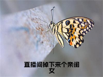 直播间掉下来个亲闺女无广告小说免费阅读，直播间掉下来个亲闺女陆瑾辰小诺完结小说在线阅读